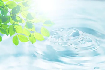 ハウスクリーニングKIREIの口コミ